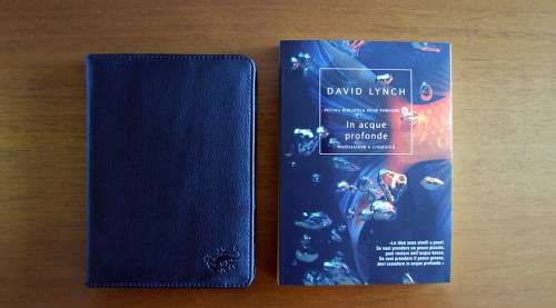 Kobo-Touch-Gecko-Cover